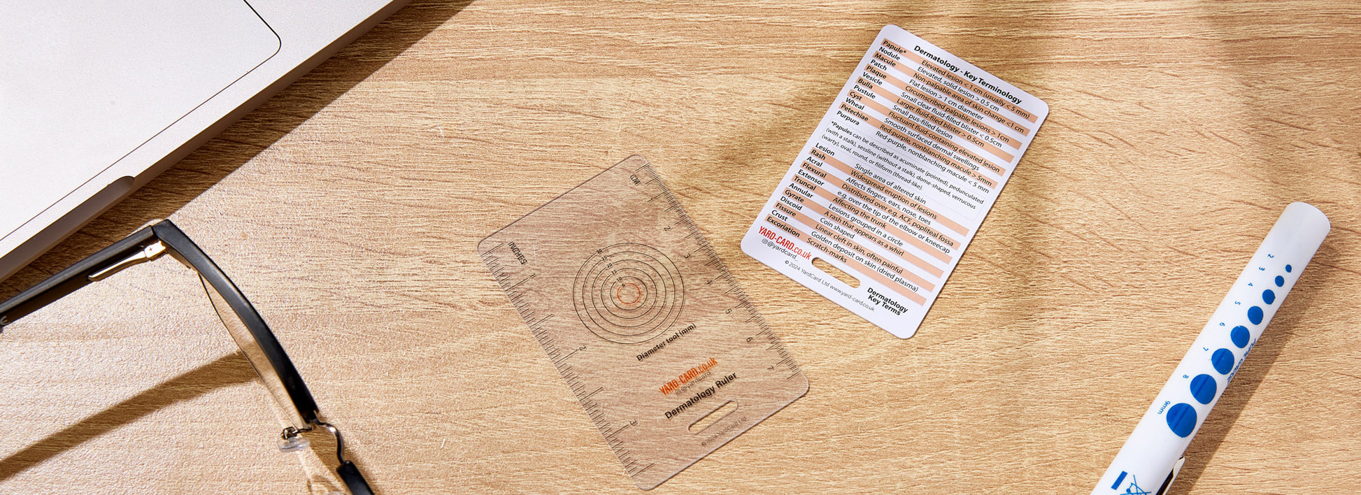 Set of 12 Essential Lanyard Cards (ID Card Size) with Holder & Retractable Reel - 