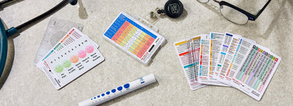 Set of 12 Essential Lanyard Cards (ID Card Size) with Holder & Retractable Reel - 