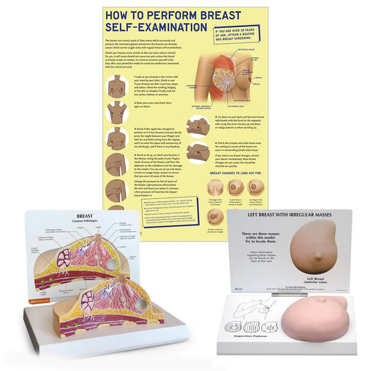 Breast Anatomy & Pathology Collection - 