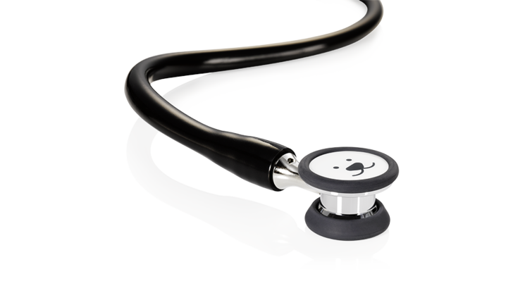 seca s30 Stethoscope - SECA