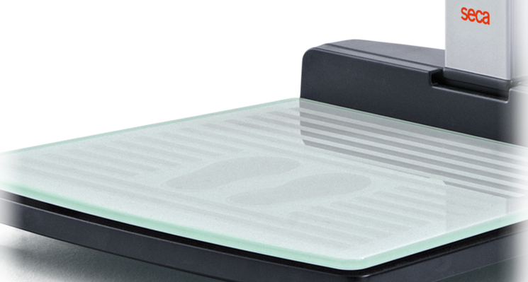 SECA 287 Wireless Ultrasonic Measuring Station - SECA