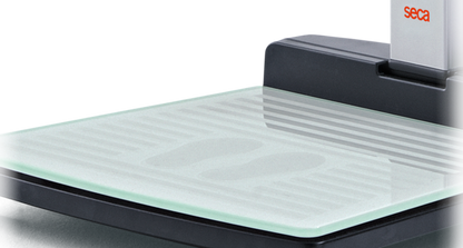 SECA 287 Wireless Ultrasonic Measuring Station - SECA