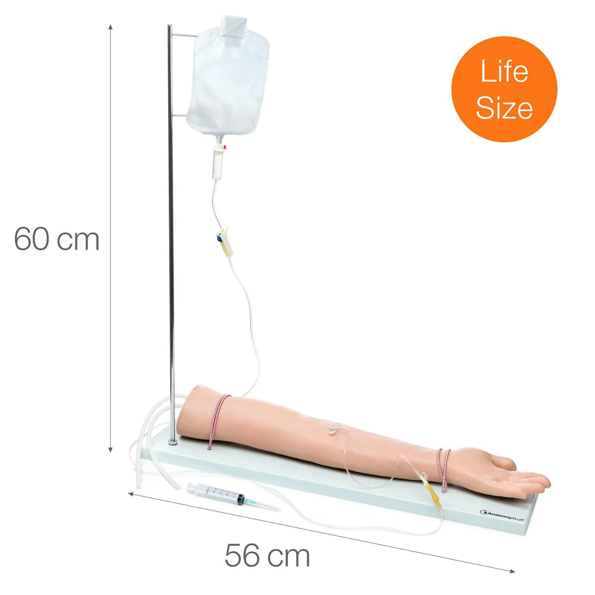 Injectable Training Arm Set – Medisave UK