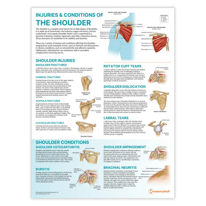 Shoulder Anatomy & Pathology Collection - 