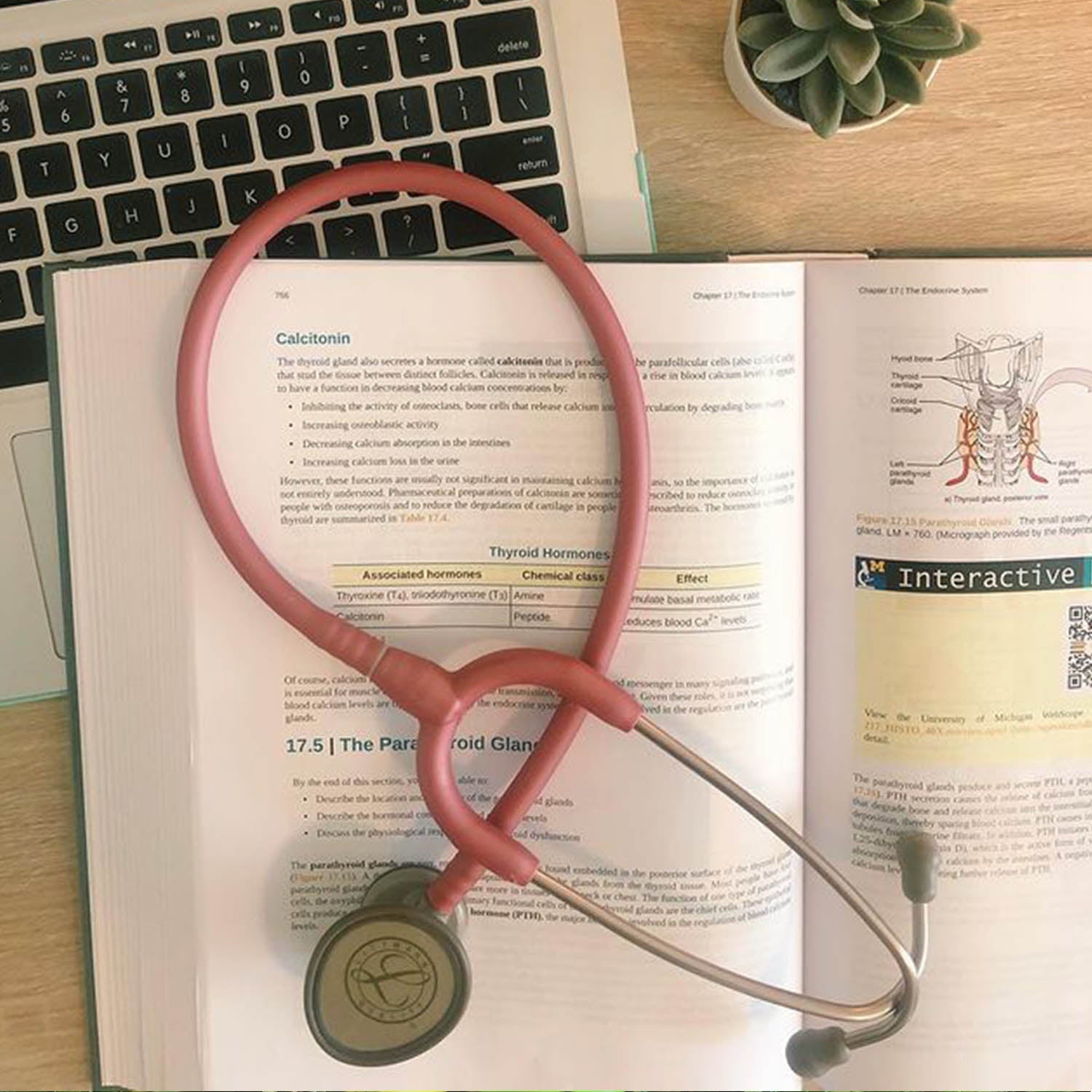 Littmann Lightweight II SE Nurses Stethoscope: Bubblegum Pink 2456 - Over Engraved - Littmann Stethoscopes