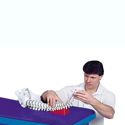 Mobilisation Wedge - Large