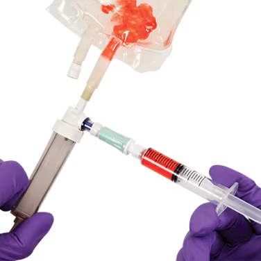 BD® Texium™ Closed Male Luer with Female Cap - Box of 50