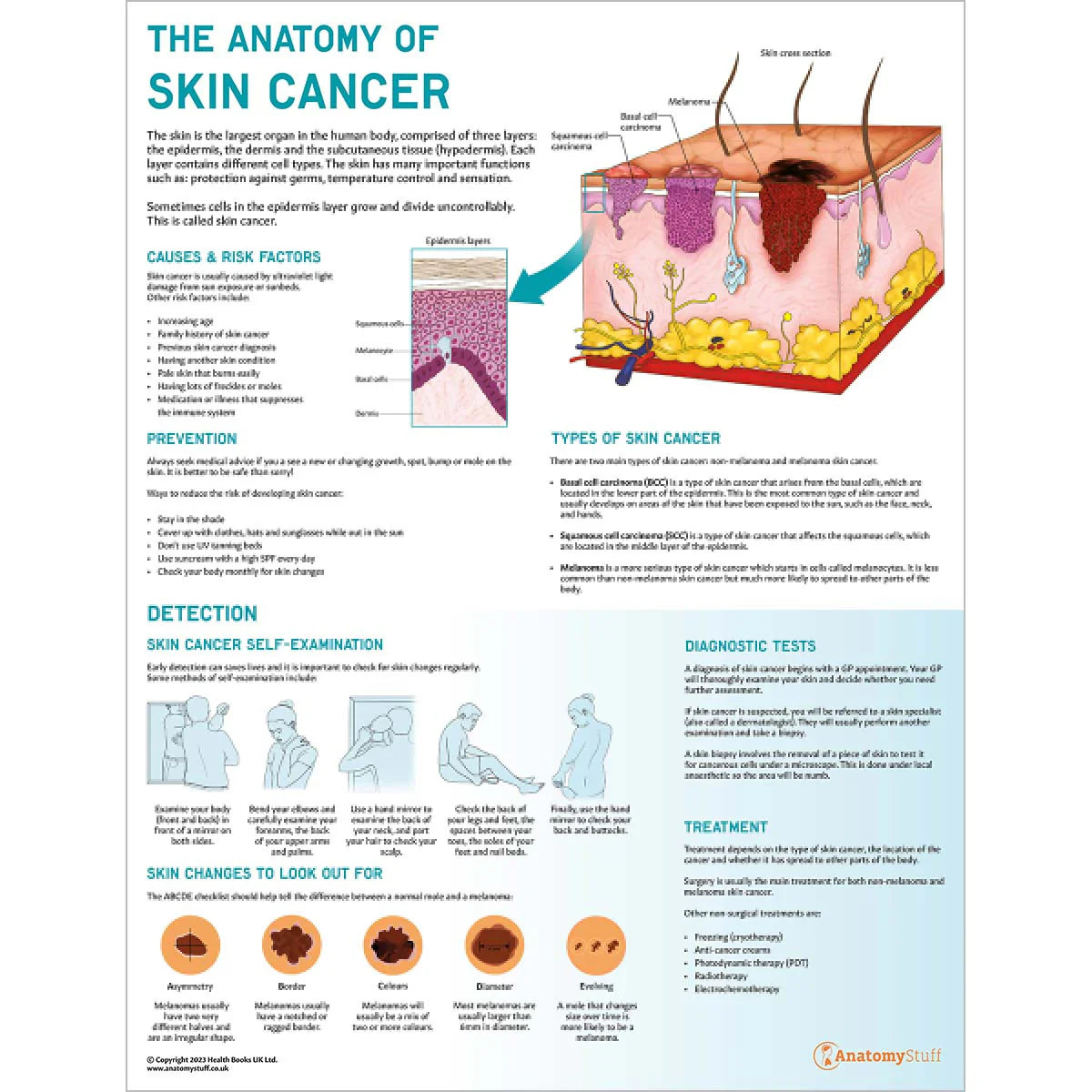 Skin Anatomy & Pathology Collection - 