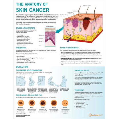 Skin Anatomy & Pathology Collection - 