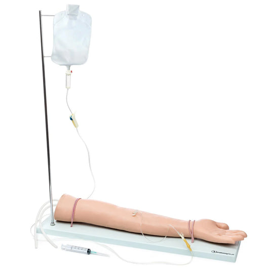 Budget Injectable Training Arm Set - 