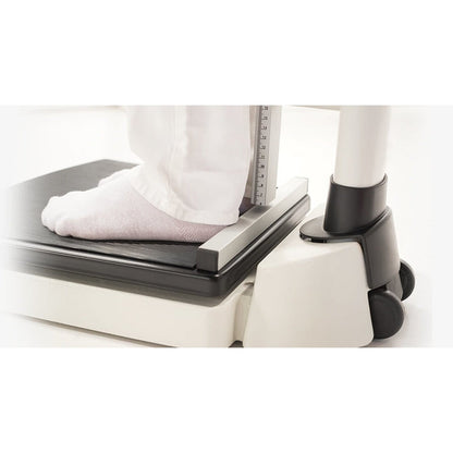 Seca 704 Electronic Column Scale with Integrated Digital Measuring Rod - SECA