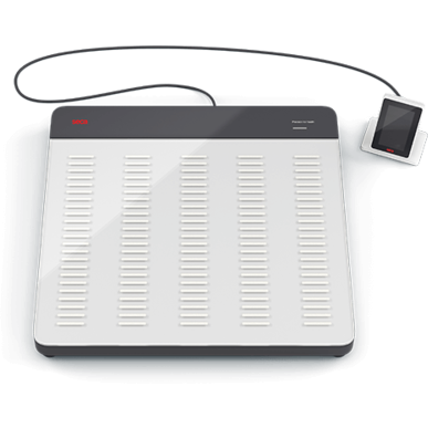 Seca 651 Flat Scales - SECA