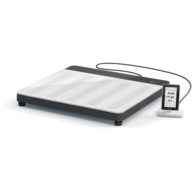 Seca 651 Flat Scales - SECA