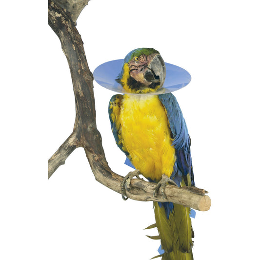 Buster Bird Collar 200mm 1piece  - MWI Animal Health