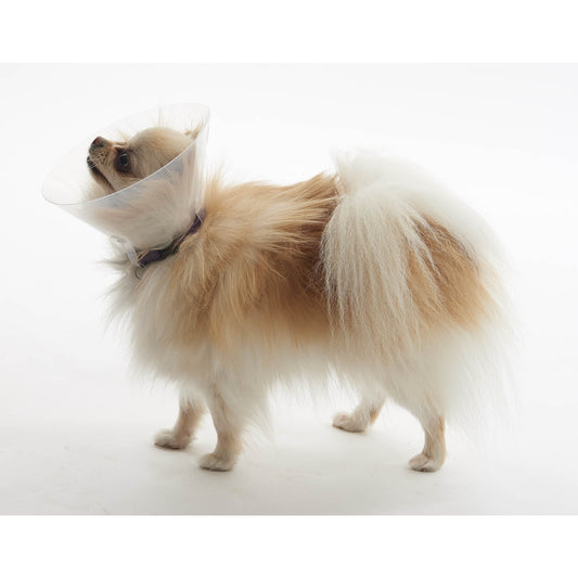 Buster E-Collar For Dogs XS - Pack of 10 - MWI Animal Health