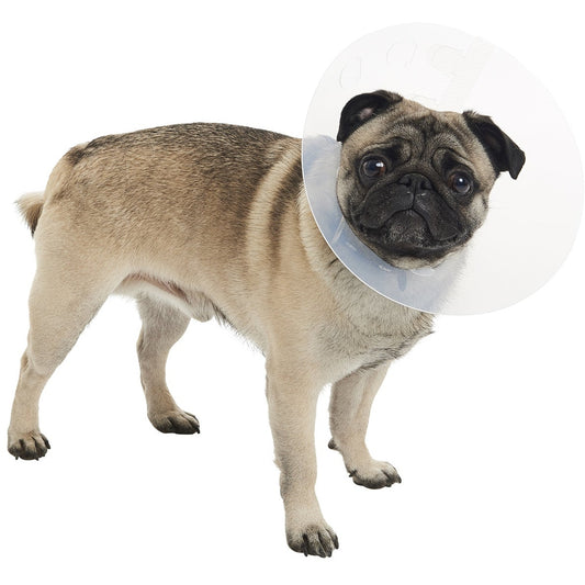 Buster E-Collar For Dogs Small - Pack of 10 - MWI Animal Health