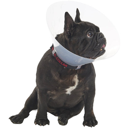 Buster E-Collar For Dogs Medium - Pack of 10