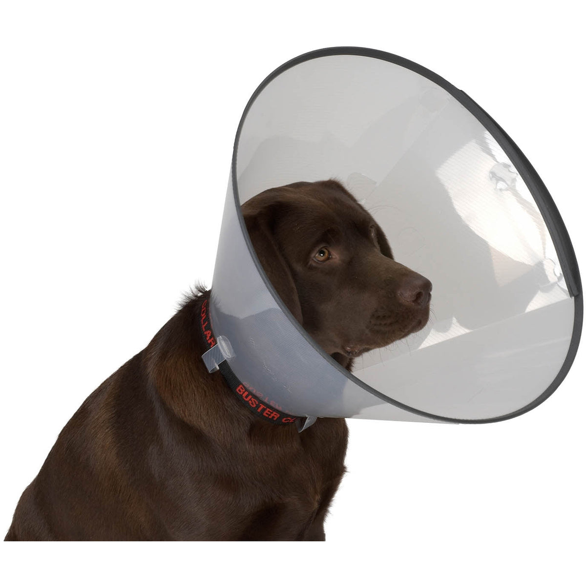 Buster Comfort Collar 10cm Pack 5 – Medisave UK