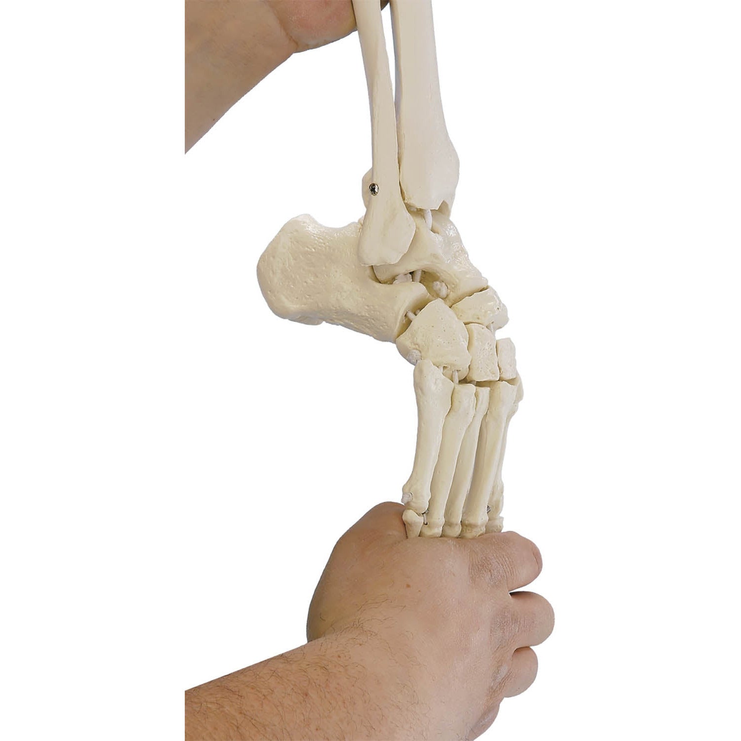 Additional Option Flexible Foot (Right) – Medisave UK