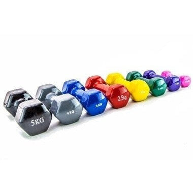 Vinyl Dumbbell Weights - Fortress