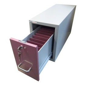 Amerson 1 Drawer Lockable Prescription Cabinet