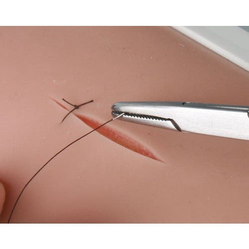 Skin Suture Trainer