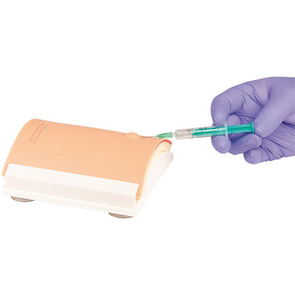 I.V Injection Training Arms & I.M Injection Trainer - Erler Zimmer