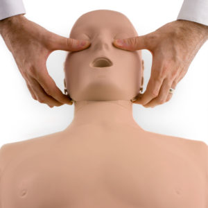 Prestan Jaw Thrust Head for Adult Manikin - Single - Discontinued