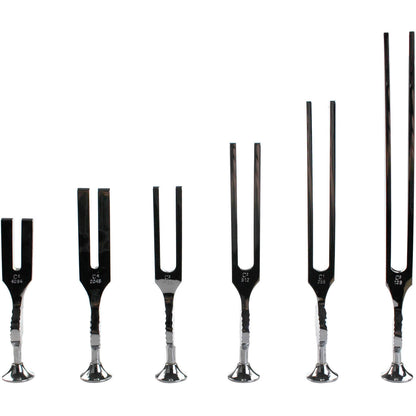 Gardiner Brown Tuning Forks - Set of 6 in case - Uniplex