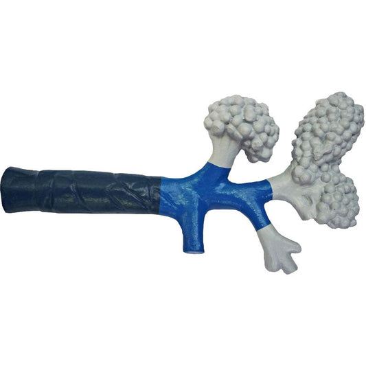 Bronchioles - Erler Zimmer