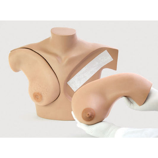 Breast Palpation Simulator for Clinical Teaching - Erler Zimmer