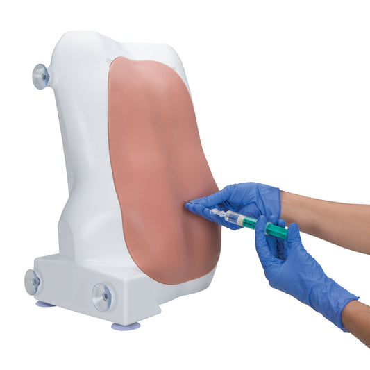 Epidural and Spinal Injection Trainer - 3B Scientific