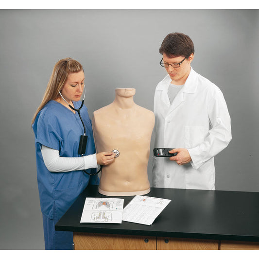 Auscultation Simulator - Erler Zimmer