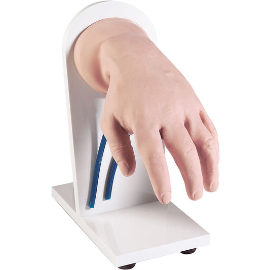 I.V. Injection Hand - Erler Zimmer