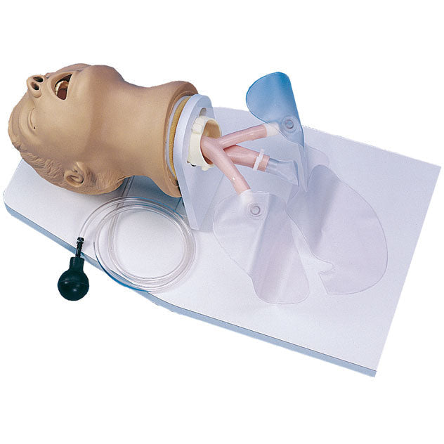 Adult Intubation Head Airway Larry – Medisave UK