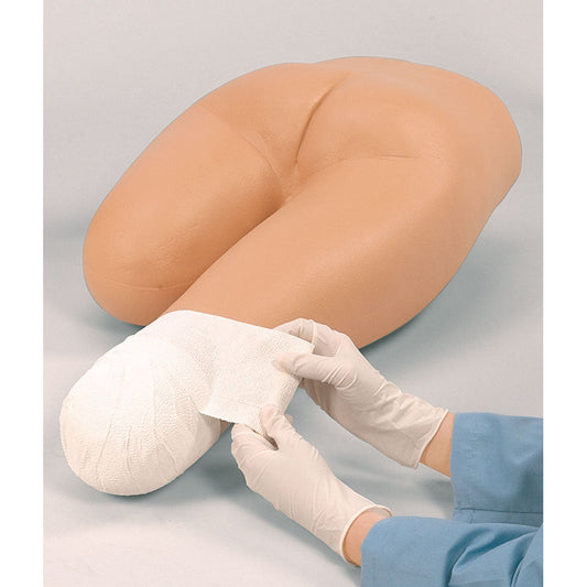Stump Bandaging Lower Torso - Erler Zimmer