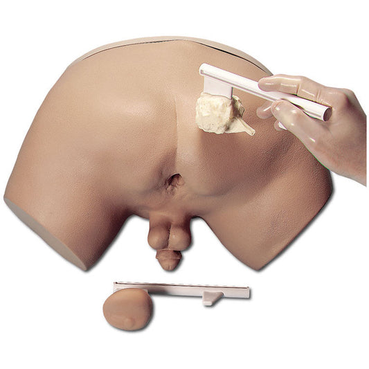 Prostate Examination Simulator - Erler Zimmer