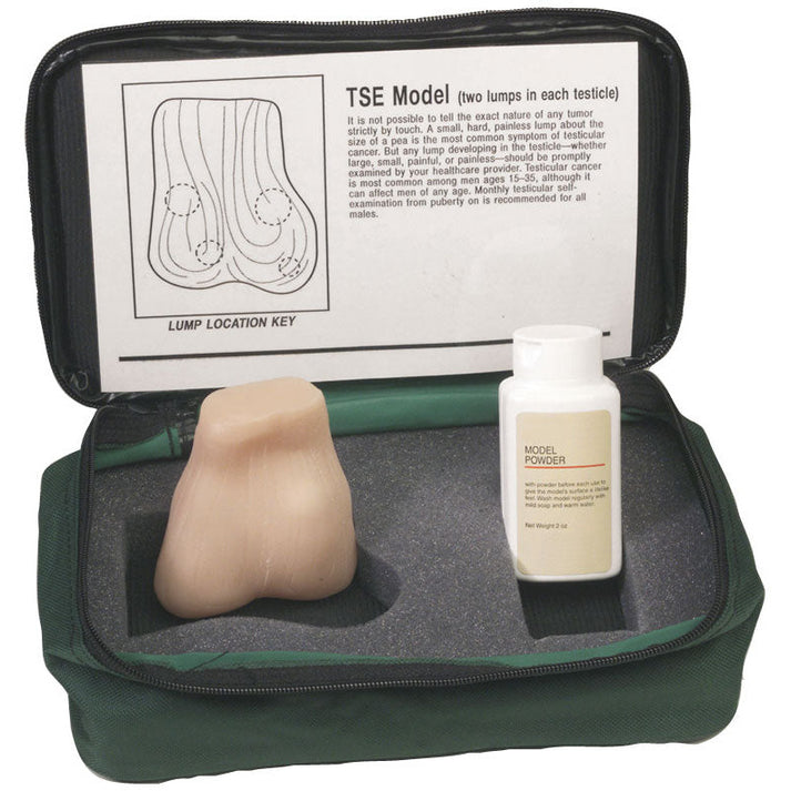 Testicle Self Examination Model - 2 lumps – Medisave UK