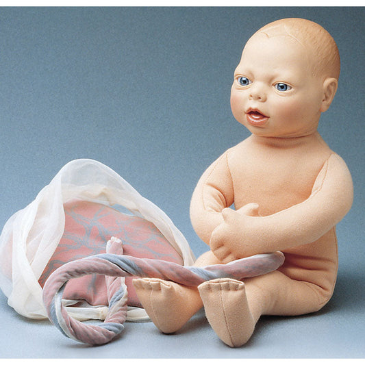 Foetus Doll - Health Edco