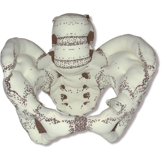 Cloth Pelvis - Health Edco