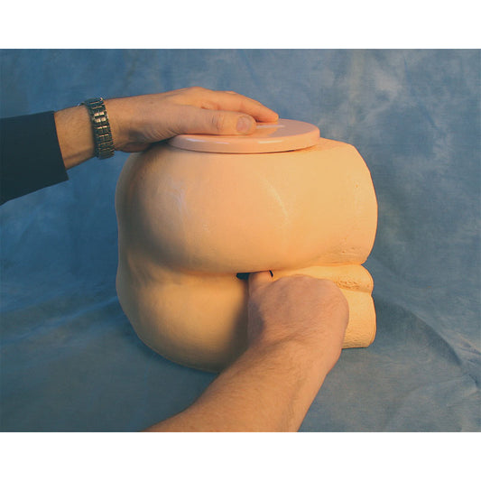 Clinical Prostate/Rectal Examination - Erler Zimmer