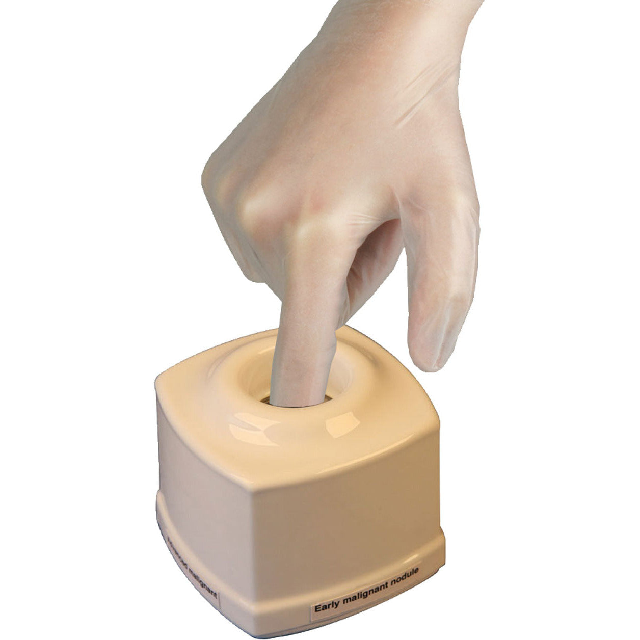 Prostate Exercise Tools Prostate Examination Trainer – Medisave UK