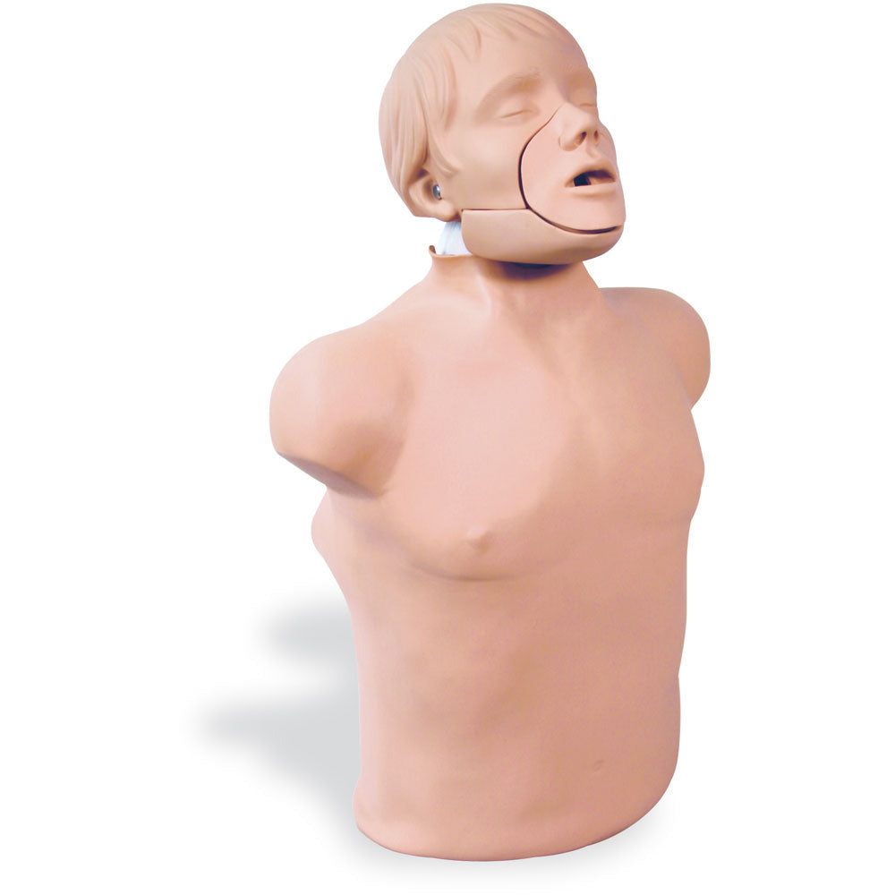 Jaw Thrust Brad - Erler Zimmer