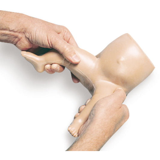 Baby Hippy - Erler Zimmer