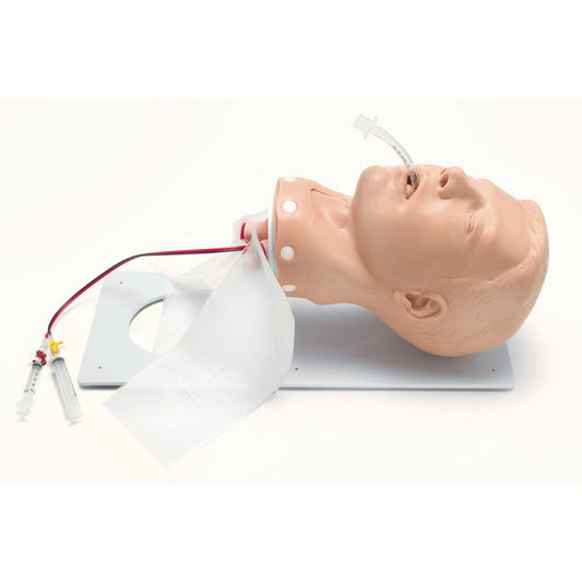 Adult Deluxe Airway Management Trainer with Board - Erler Zimmer