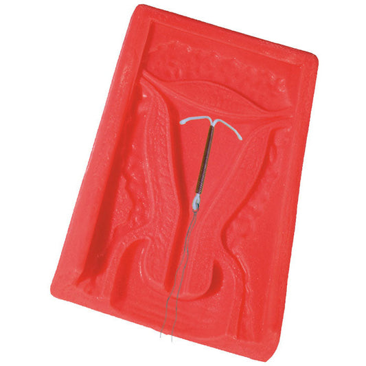 I.U.D Trainer - Erler Zimmer