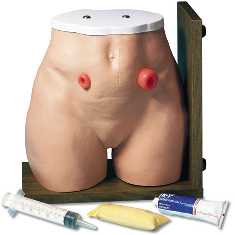 Ostomy Care Simulator - Erler Zimmer