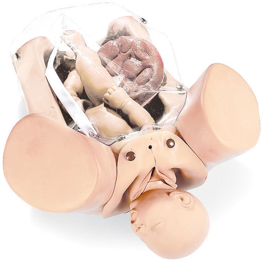 Obstetrical Manikin - Erler Zimmer