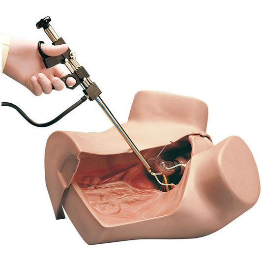 Gynaecologic Simulator - Erler Zimmer