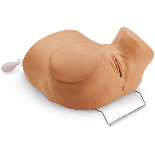 GYN/AID Gynaecological Simulator - Erler Zimmer
